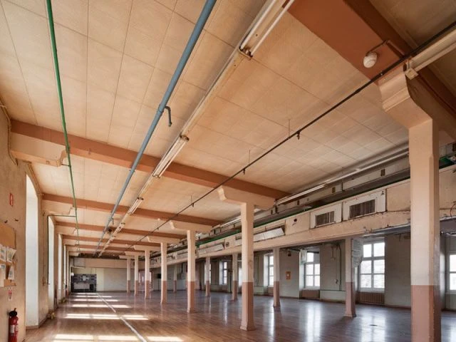 Grandeur - La manufacture des tabacs de Strasbourg