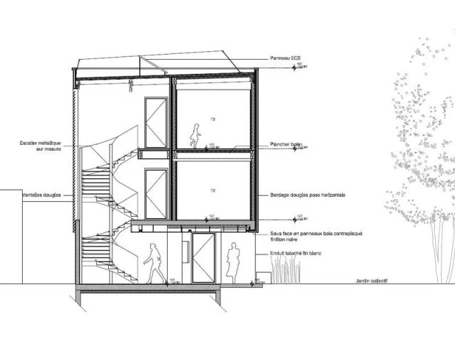 plan de coupe