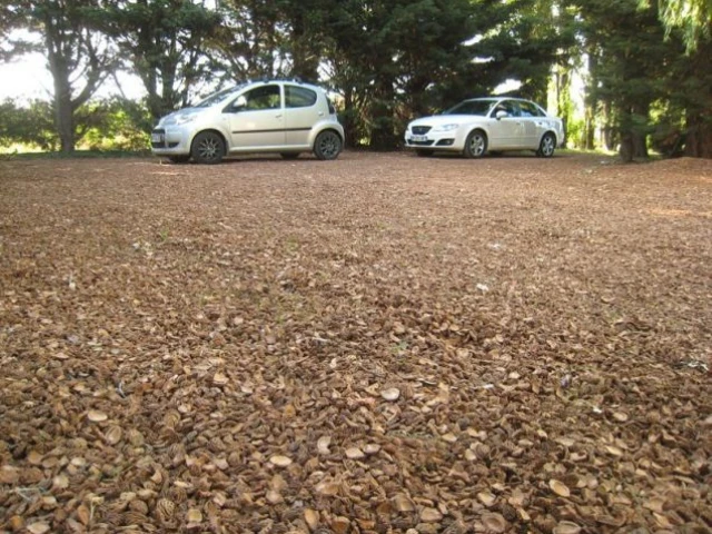 voiture