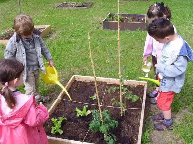 Gagnant 2012 Catégorie Ecoles - Potager de balcon