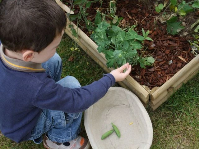 Gagnant 2012 Catégorie Juniors - Potager de balcon