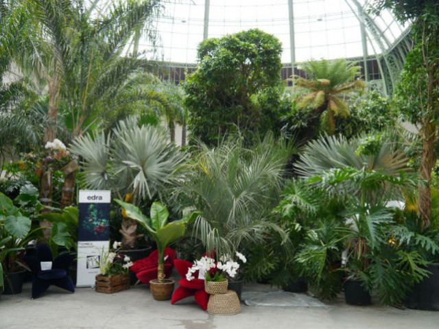 Des plantes exotiques pour faire voyager - L'art du Jardin - Grand Palais