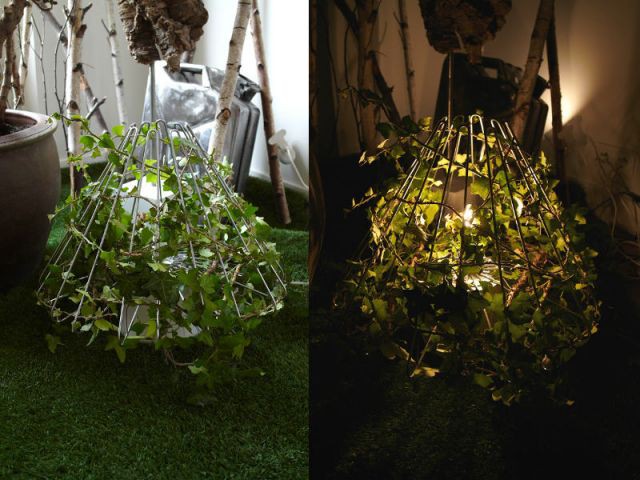 Lampe végétale Solstice - Concours Innovation