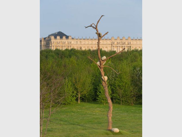Idee di pietra  - Exposition Penone Versailles jardin troncs