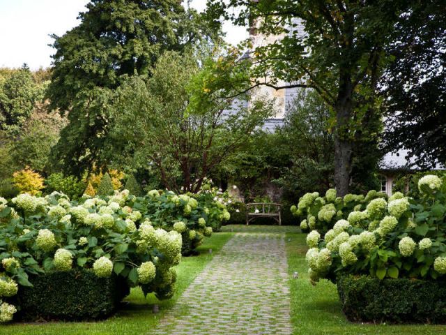 Architecture végétale - Christian Fournet dévoile ses plus beaux jardins
