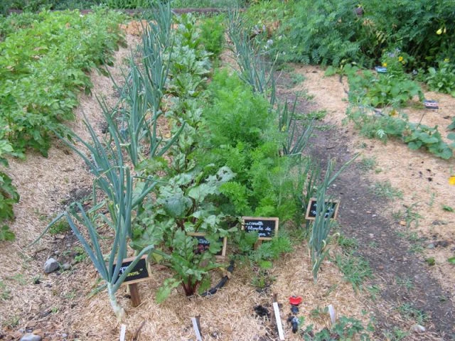 Grand prix 2013 - Catégorie Jardin ou parcelles pédagogiques - SNHF
