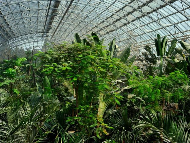 Serre tropicale au zoo de Vincennes