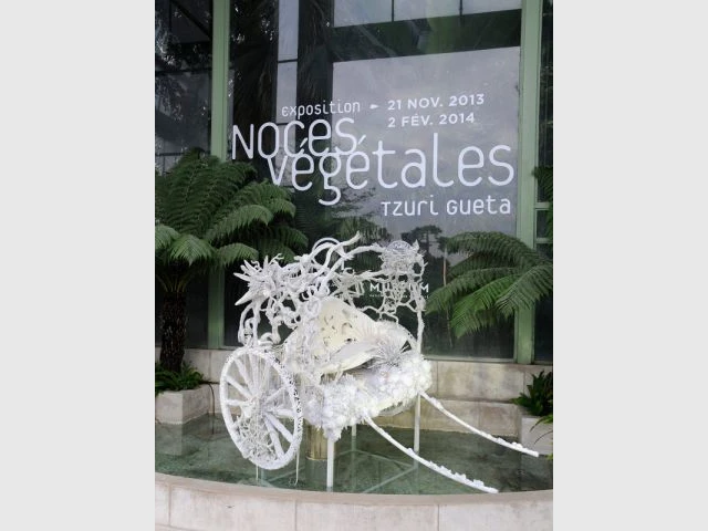 Exposition Jardin des Plantes - Noces végétales