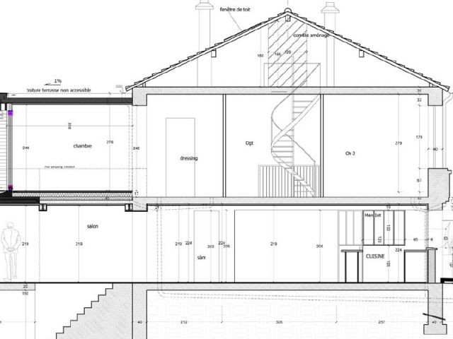 Le plan coupe de l'extension - Maison des Lilas