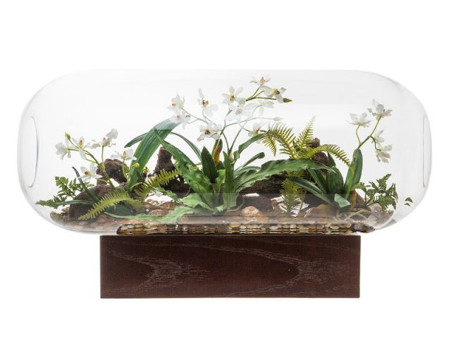 Le terrarium de Jean-Marc Gady - M&O janvier 2014