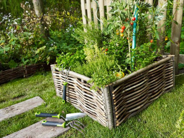 Un carré potager Un carré potager