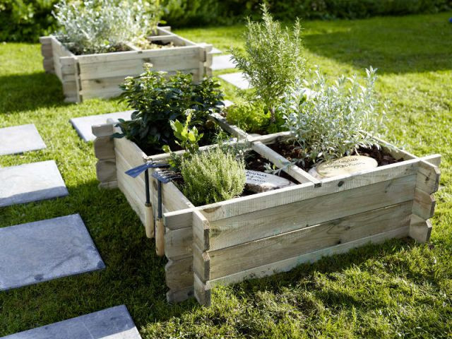 Un carré potager élégant