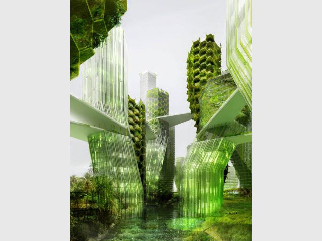 Un projet futur de ville dépolluante - Les villes biomimétiques