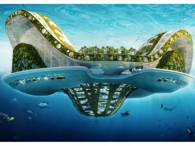 Lylipad, le projet fou d'une ville aquatique - Les villes biomimétiques