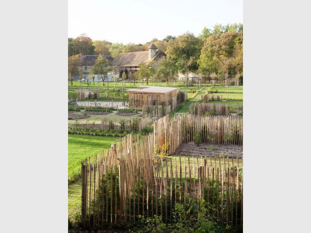 Un potager "de la graine à la graine" - Potager-jardin de Royaumont