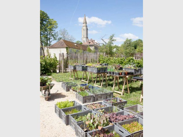Potager-jardin de Royaumont