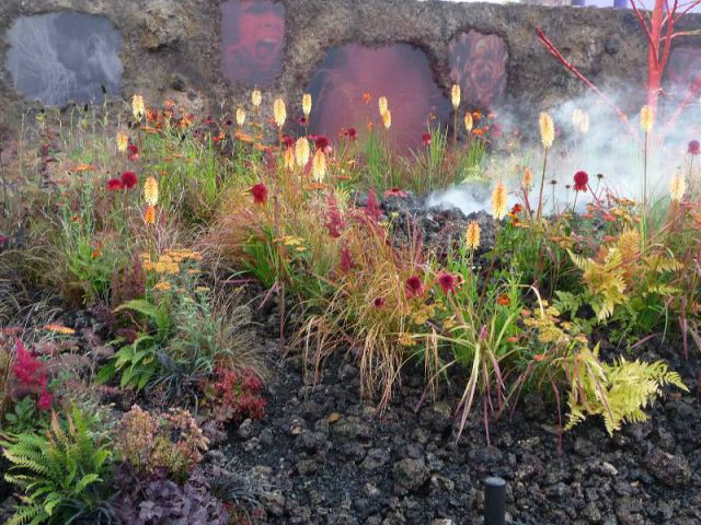 L'éruption de la colère - Hampton Court Palace Flower Show 2014
