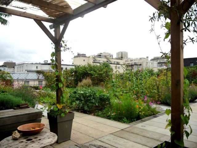 Un terrasse conviviale - Jardin vignoles sur le toit