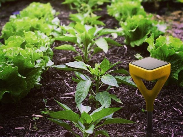 Un système de jardin intelligent