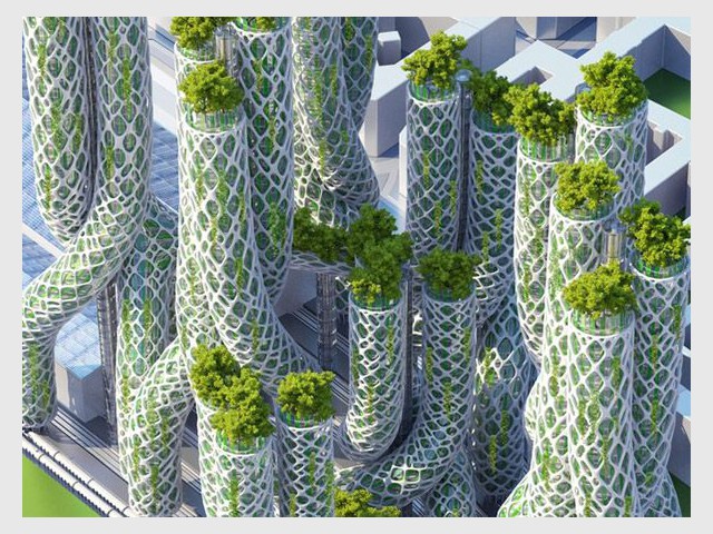 Mangrove Towers - Paris Smart City 2050
