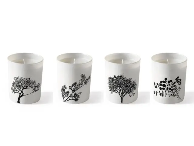 Bougies Arbres