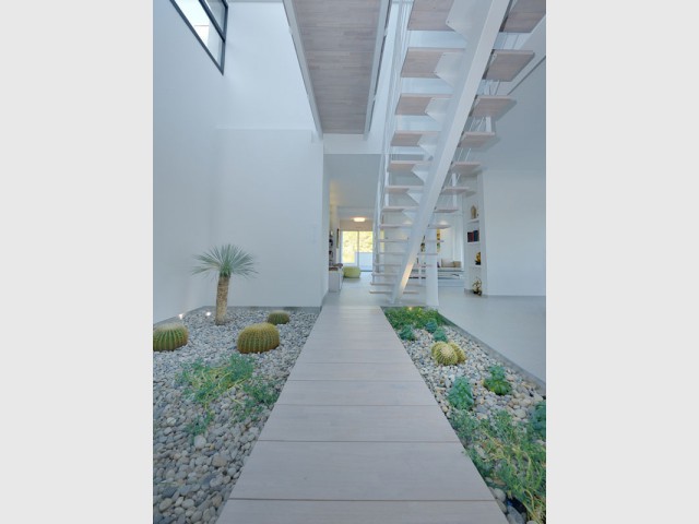 Un patio végétalisé pour améliorer la qualité de l'air - Maison contemporaine garrigue nîmoise