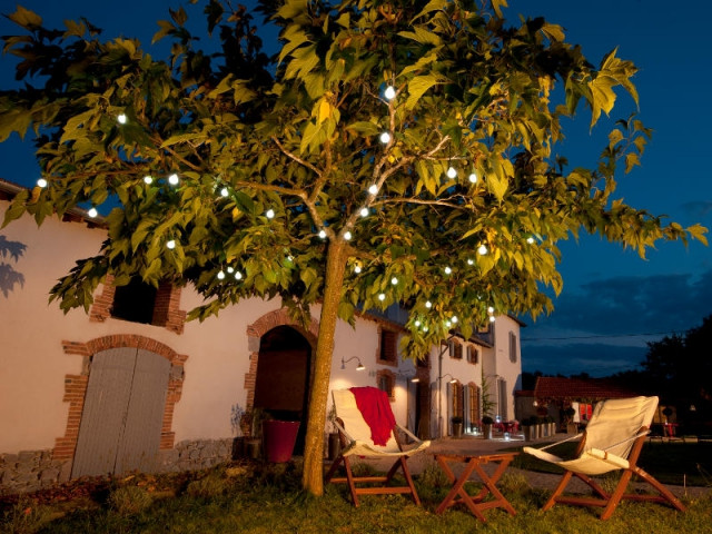 Une guirlande dans l'arbre pour un jardin festif - Eclairer son jardin l'été