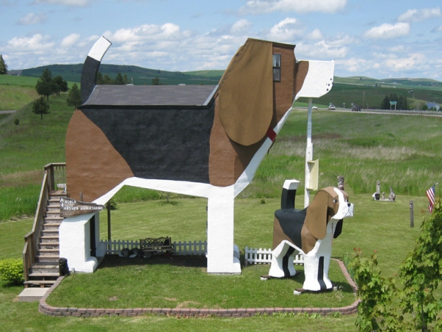 Une maison en forme de chien