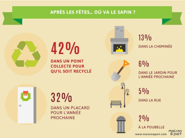 Le recyclage du sapin, une pratique de plus en plus répandue - Les Français et les décorations de Noël