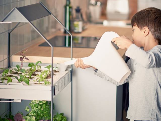 Le jardinage pour les petits Le jardinage pour les petits