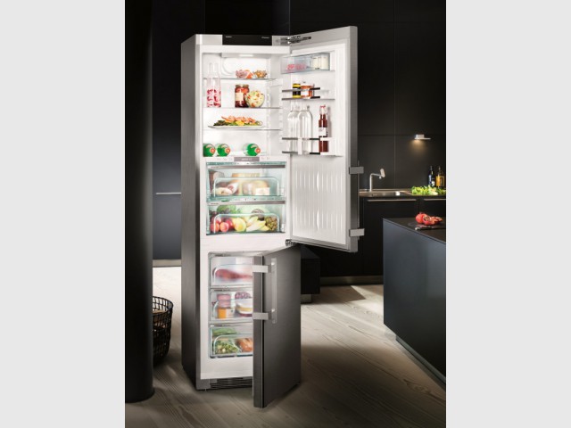 Réfrigérateur congélateur BioFresh BluPerformance