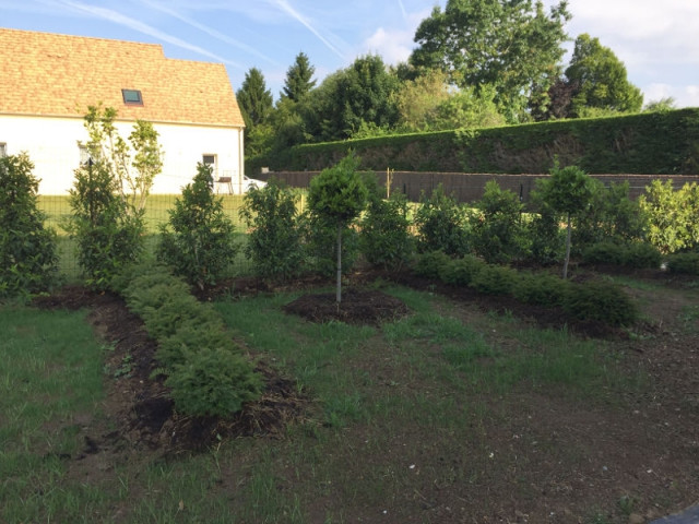 Des végétaux de jardin traités naturellement  - Un jardin écologique aux nuances japonaises