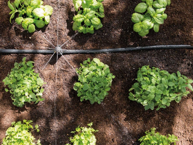 Un système d'irrigation pour maîtriser à distance pour votre jardin  - Prendre soin de ses plantes en vacances