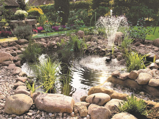 Un bassin à jet d'eau pour un jardin de rocaille - Un bassin esthétique pour mon jardin