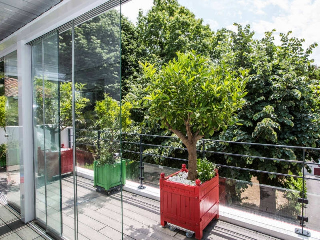 Une terrasse en bois pour cultiver des agrumes - un rouge flamboyant pour la façade d'une maison