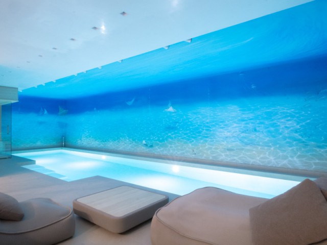 La plus belle piscine résidentielle : une piscine intérieure privée en Allemagne - Concours Pool Vision 2016