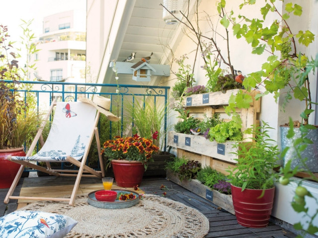 Cultiver sur son balcon 