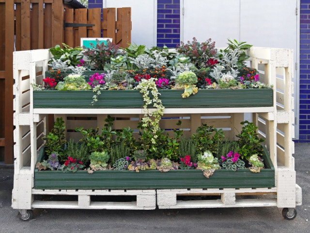Jardiniere Avec Palette