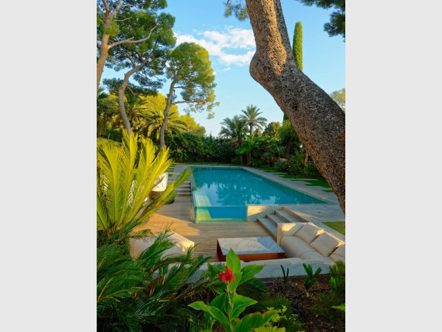 Une piscine aux parois de verre plongée dans la végétation - Piscine, exemple d'intégration exemplaire