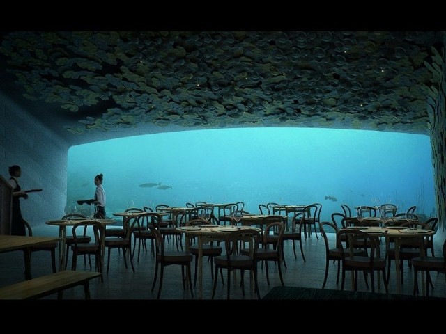 Under : une salle aux allures de grotte sous-marine - Under, le restaurant sous-marin