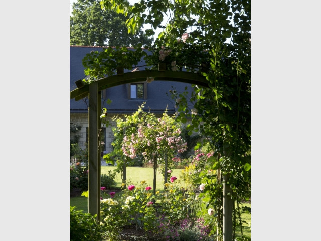 Une roseraie dans un jardin d'accueil à l'esprit so british 