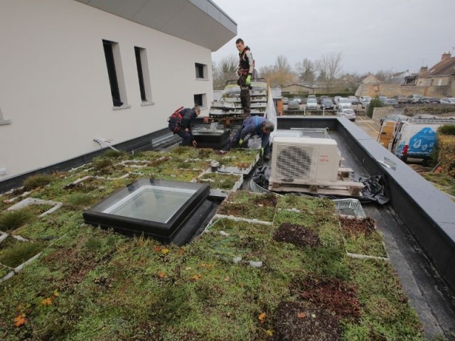 Mur et toiture végétalisés - Maison Yrys, des innovations à tous les niveaux