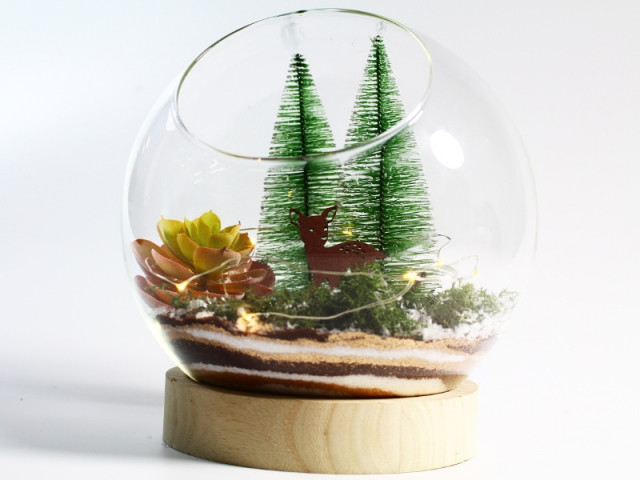 Un petit terrarium de Noël lumineux