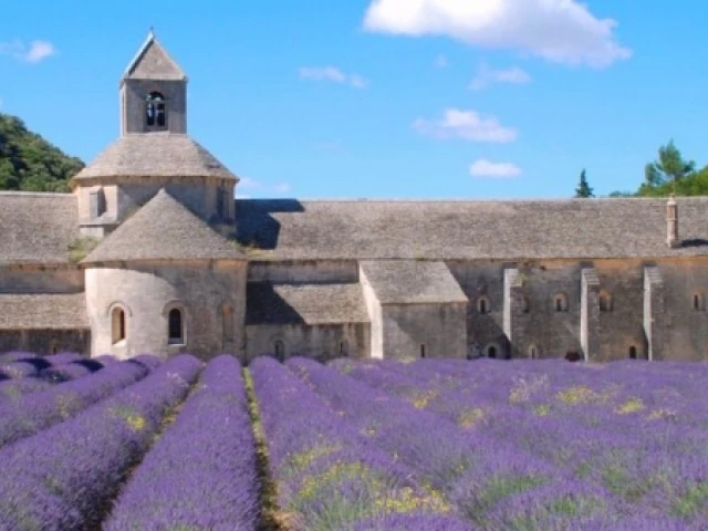 Abbaye Notre-Dame-de-Sénanque