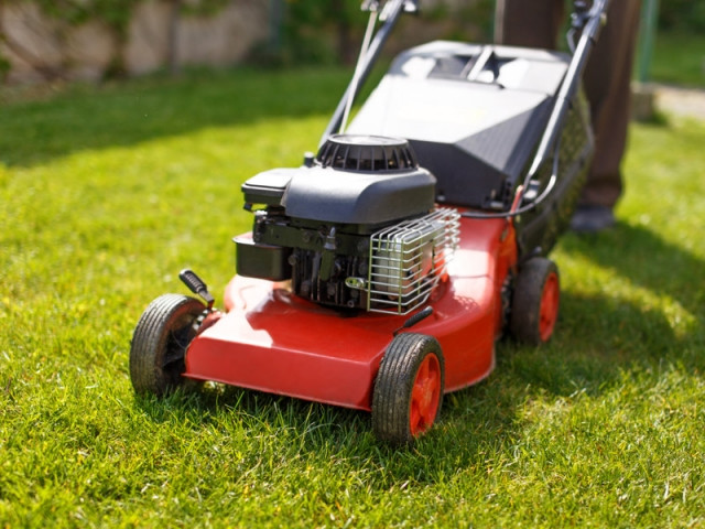 Bien Choisir Sa Tondeuse A Gazon Nos Conseils