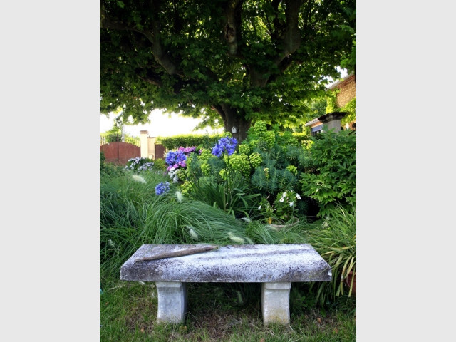 Un jardin pour contempler et s'émerveiller