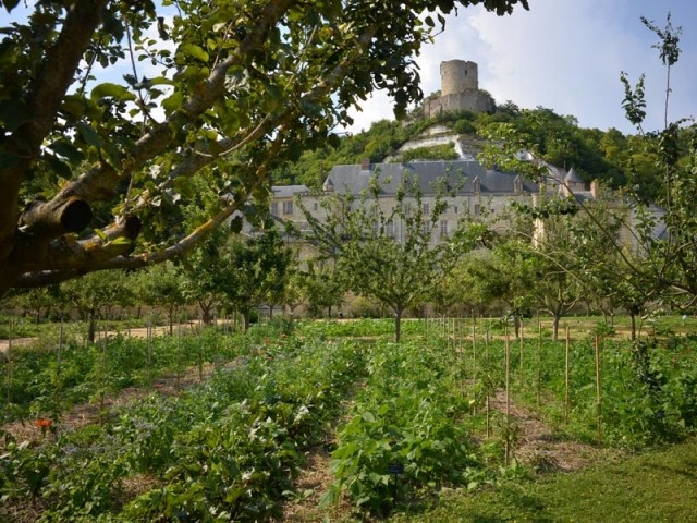 Jardin fruitier du Château de la Roche-Guyon