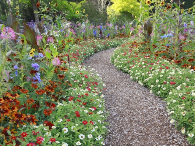 Allée de jardin fleurie à base de copeaux de bois 