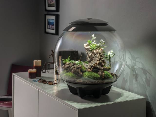 Terrarium biOrb Air 60 by Oase, prix : 399 &euro;