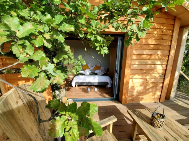 Insolite : une vraie cabane perchée dans les arbres !